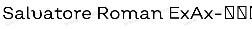 Salvatore Roman ExAx字体转换